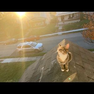 Meet your Posher, Caelyn